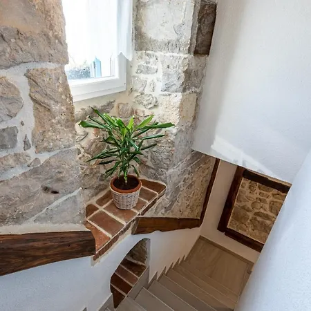 Elm Villa Milohnici